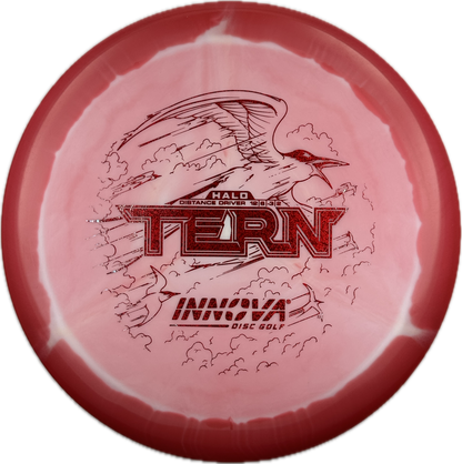 Innova Halo Star Tern